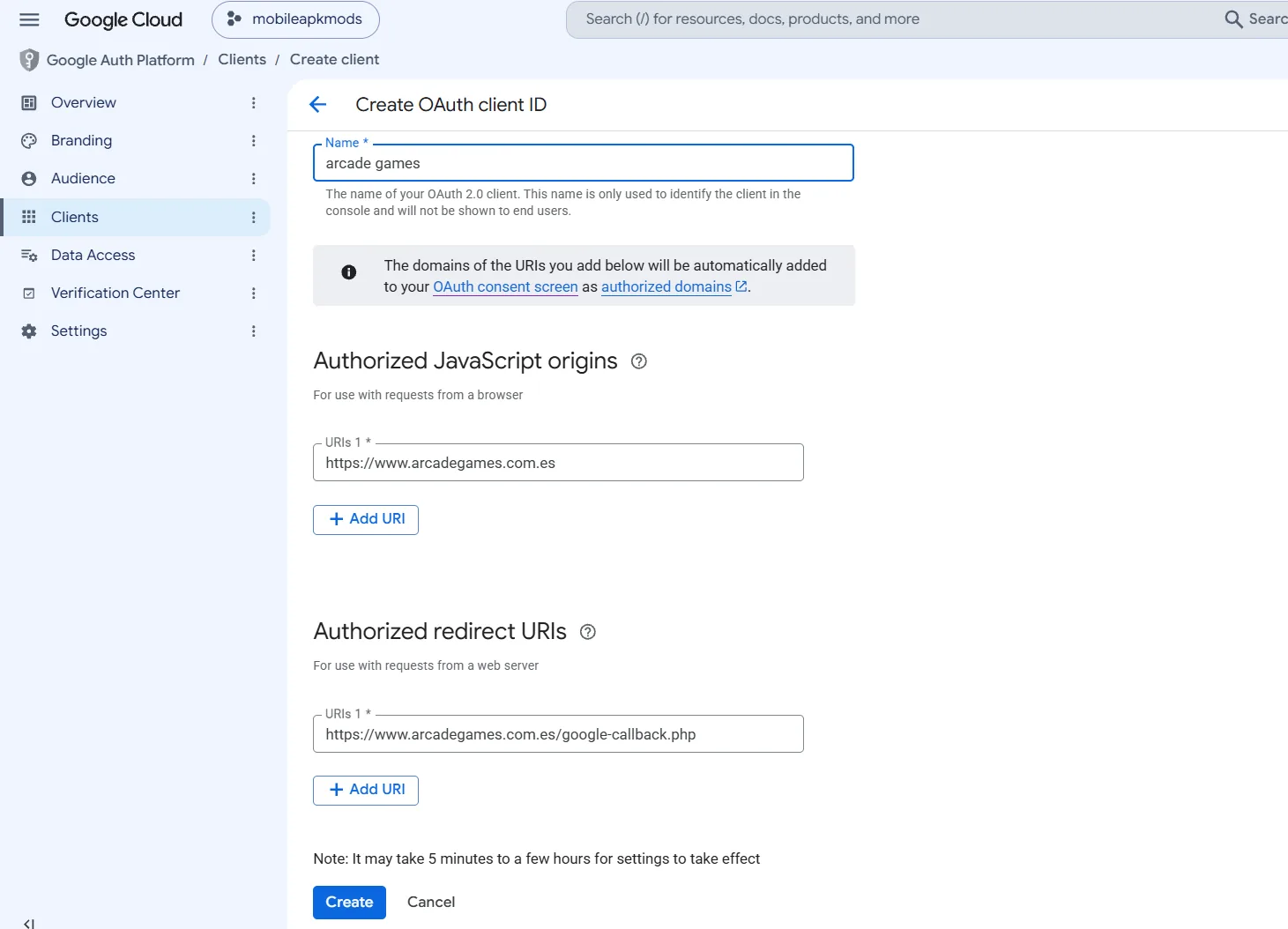 Completed Google OAuth Web application form with origin and redirect URI in the correct fields